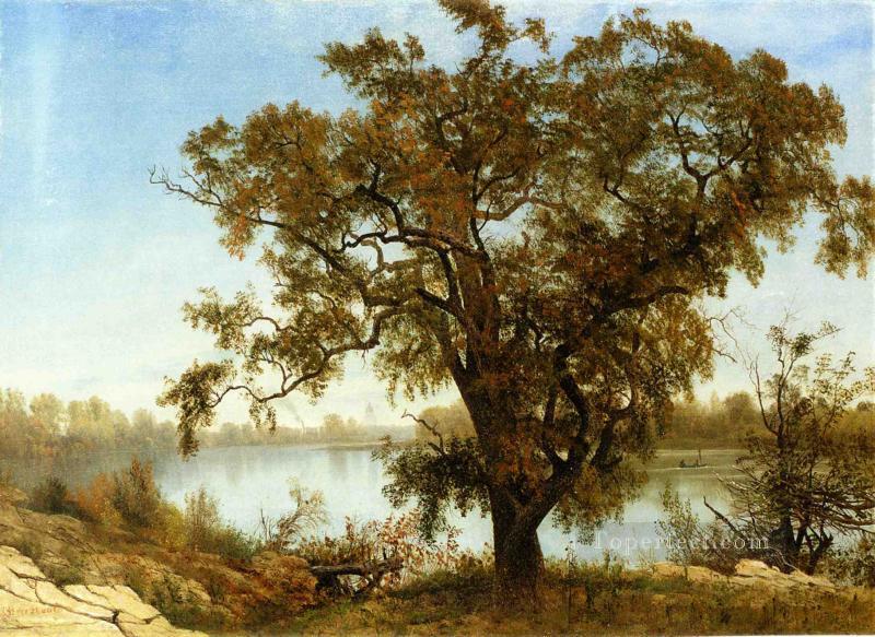A View from Sacramento Albert Bierstadt Landscapes river Oil Paintings